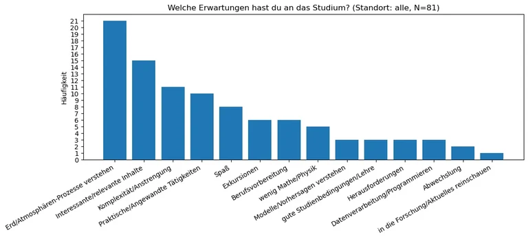 Erwartungen an das Studium