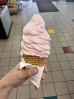 Real Fruit Ice Cream