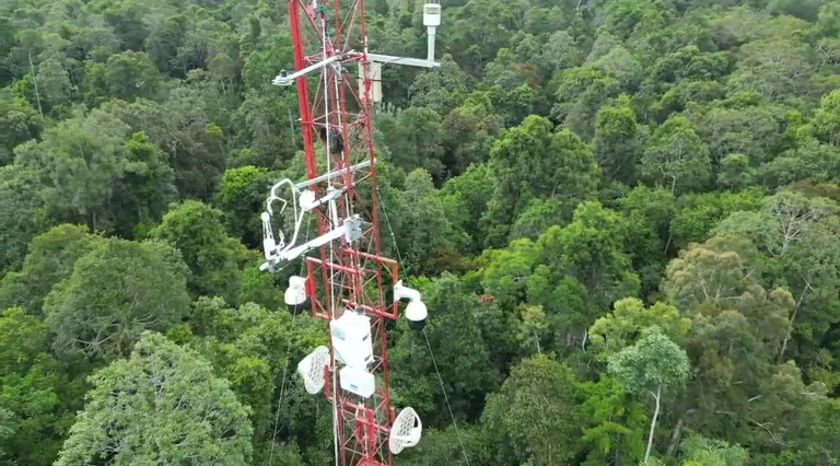 Ein Schallanemometer und Sensoren für die Gasanalyse wurden in 42m Höhe des Turms im tropischen Torfmoorwald angebracht. Diese Instrumente sind Teil eines Eddy-Kovarianz-Systems, mit dem wir den Fluss aus einem Ökosystem anhand der vertikalen turbulenten Gasflüsse durch Analyse der Kovarianz zwischen vertikalen Windgeschwindigkeiten und Schwankungen der Gaskonzentration abschätzen können.