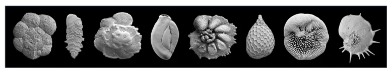 Headergrafik option 1.png