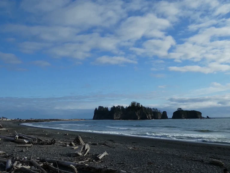 Olymic National Park, Washington.jpeg