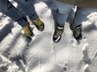Schnee in Bonn