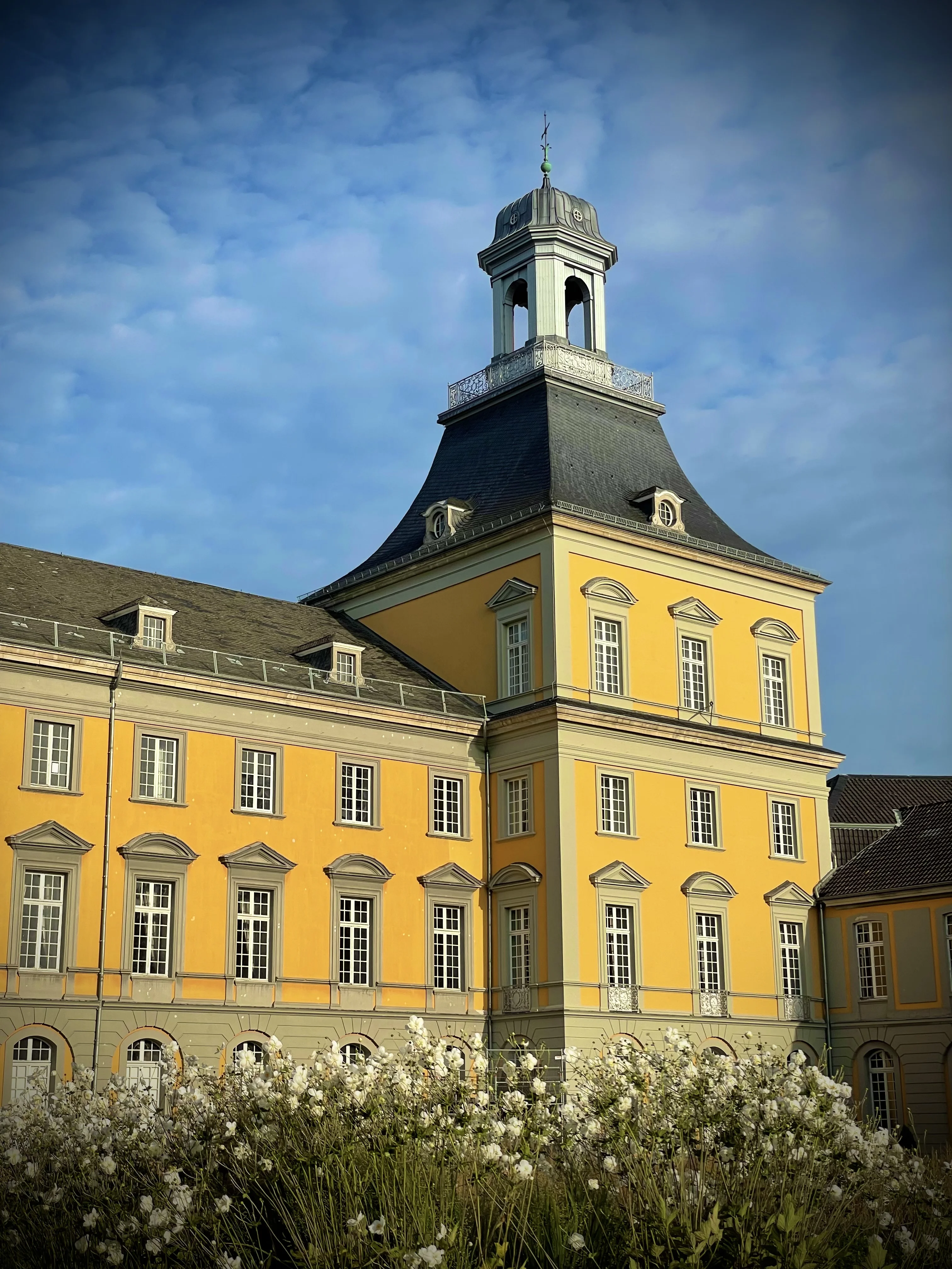 studiere-mug@uni-bonn.de