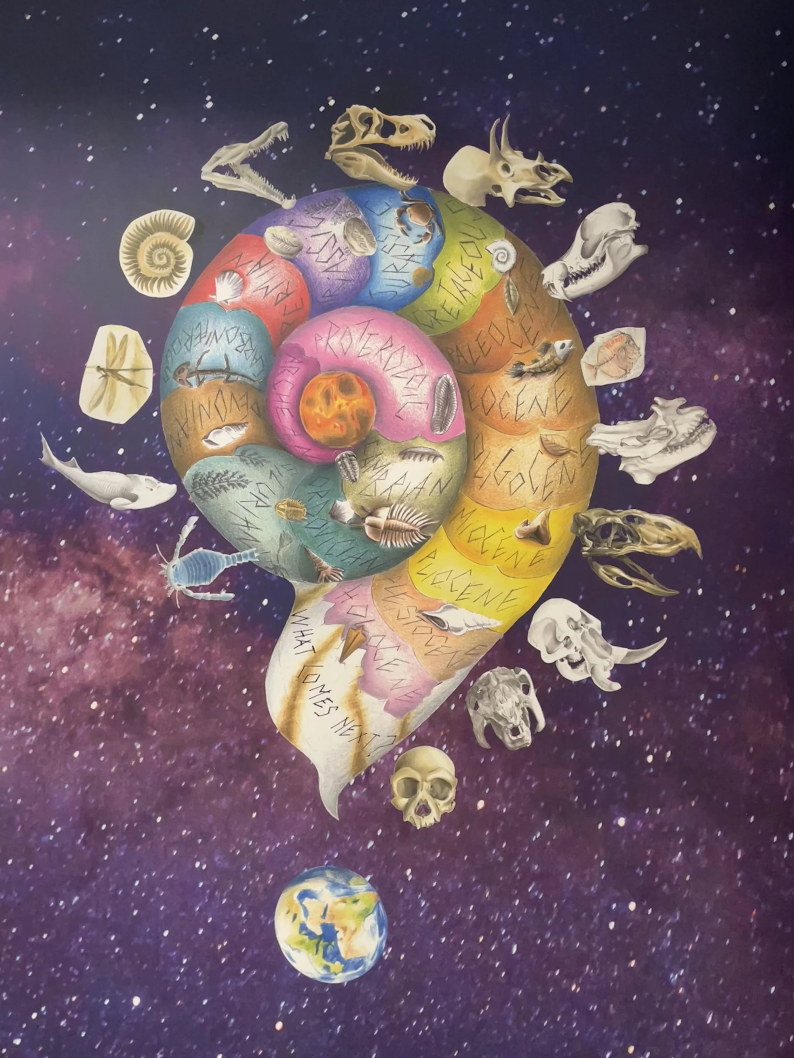 Geoscienze Bibliothek Padua