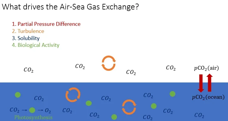 Relationship between the air-sea gas transfer velocity and turbulence